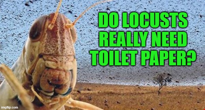Scumbag Locust | DO LOCUSTS REALLY NEED TOILET PAPER? | image tagged in scumbag locust | made w/ Imgflip meme maker