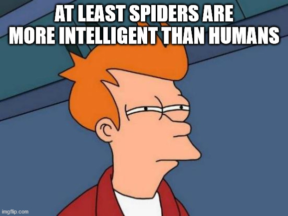 Futurama Fry Meme | AT LEAST SPIDERS ARE MORE INTELLIGENT THAN HUMANS | image tagged in memes,futurama fry | made w/ Imgflip meme maker