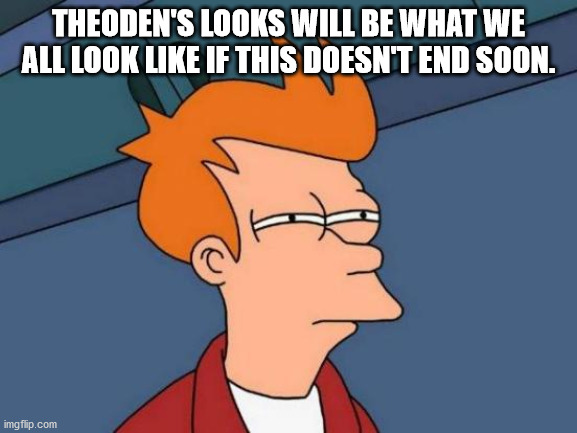 Futurama Fry Meme | THEODEN'S LOOKS WILL BE WHAT WE ALL LOOK LIKE IF THIS DOESN'T END SOON. | image tagged in memes,futurama fry | made w/ Imgflip meme maker