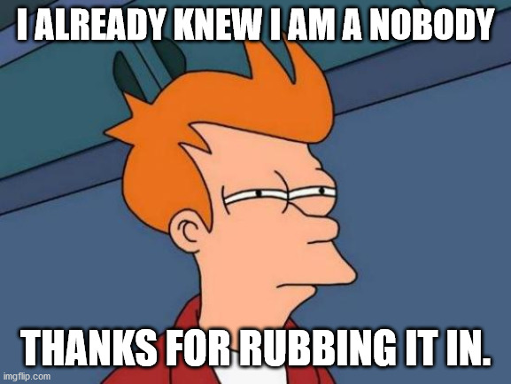 Futurama Fry Meme | I ALREADY KNEW I AM A NOBODY THANKS FOR RUBBING IT IN. | image tagged in memes,futurama fry | made w/ Imgflip meme maker
