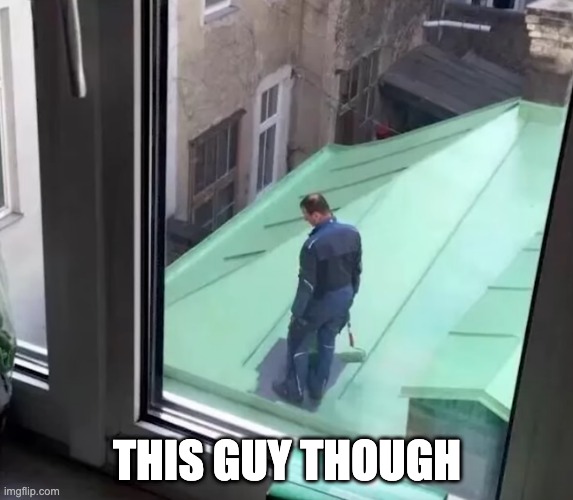 Professional painting | THIS GUY THOUGH | image tagged in dumb,fails,memes,funny | made w/ Imgflip meme maker