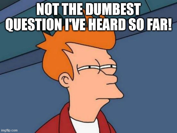 Futurama Fry Meme | NOT THE DUMBEST QUESTION I'VE HEARD SO FAR! | image tagged in memes,futurama fry | made w/ Imgflip meme maker