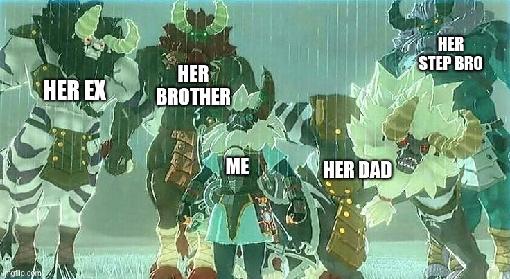 Legend of zelda | HER STEP BRO; HER EX; HER BROTHER; HER DAD; ME | image tagged in family,family problems,her ex,her brother,her dad,me | made w/ Imgflip meme maker