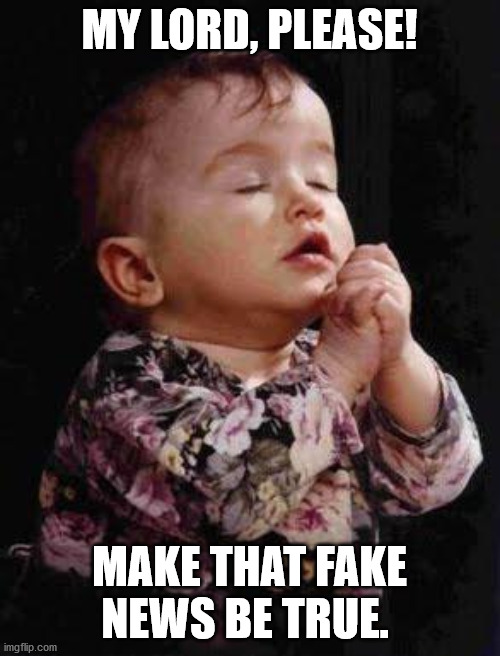 Baby Praying | MY LORD, PLEASE! MAKE THAT FAKE NEWS BE TRUE. | image tagged in baby praying | made w/ Imgflip meme maker