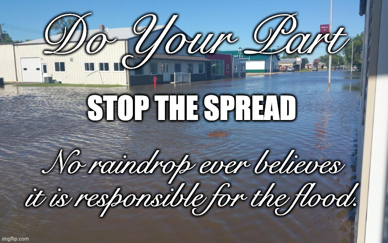 You Make A Difference | Do Your Part; STOP THE SPREAD; No raindrop ever believes it is responsible for the flood. | image tagged in coronavirus | made w/ Imgflip meme maker