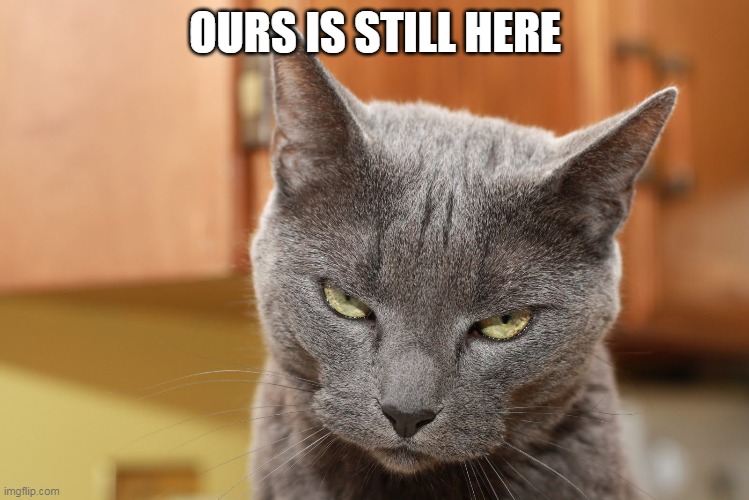 Try Me | OURS IS STILL HERE | image tagged in try me | made w/ Imgflip meme maker