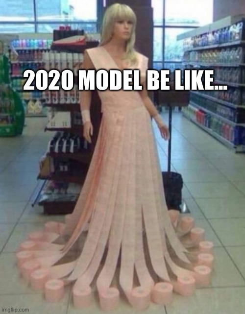 She is one rich lady... | 2020 MODEL BE LIKE... | image tagged in toilet paper,coronavirus,isaac_laugh,pink | made w/ Imgflip meme maker