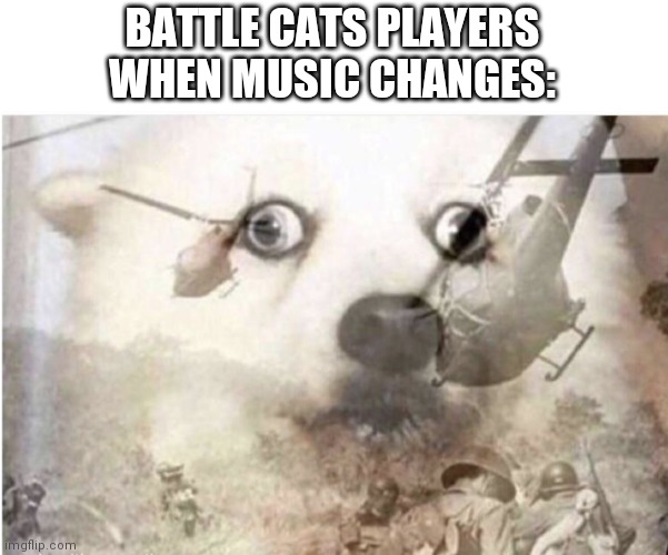 Vietnam dog | BATTLE CATS PLAYERS
WHEN MUSIC CHANGES: | image tagged in vietnam dog | made w/ Imgflip meme maker