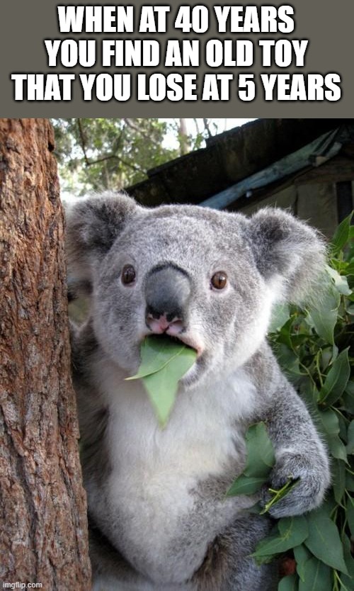 Surprised Koala Meme | WHEN AT 40 YEARS YOU FIND AN OLD TOY THAT YOU LOSE AT 5 YEARS | image tagged in memes,surprised koala | made w/ Imgflip meme maker