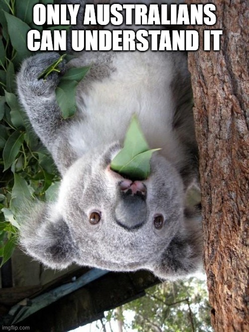 Surprised Koala | ONLY AUSTRALIANS CAN UNDERSTAND IT | image tagged in memes,surprised koala | made w/ Imgflip meme maker