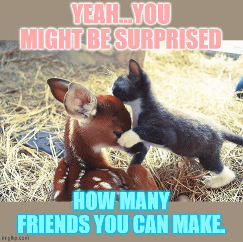 YEAH...YOU MIGHT BE SURPRISED HOW MANY FRIENDS YOU CAN MAKE. | made w/ Imgflip meme maker