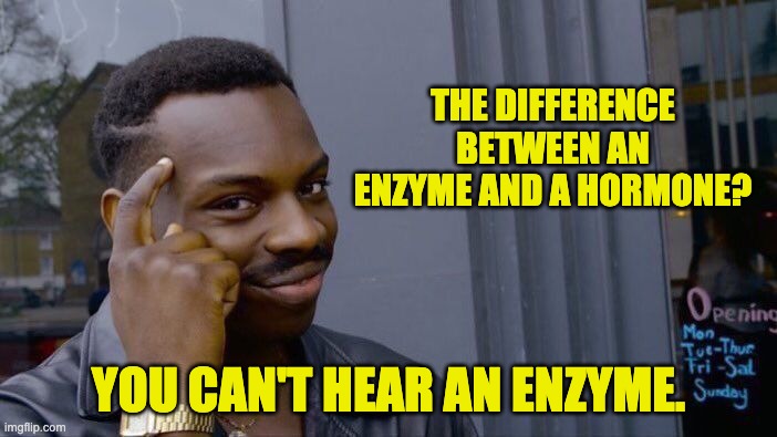 Roll Safe Think About It Meme | THE DIFFERENCE BETWEEN AN ENZYME AND A HORMONE? YOU CAN'T HEAR AN ENZYME. | image tagged in memes,roll safe think about it | made w/ Imgflip meme maker