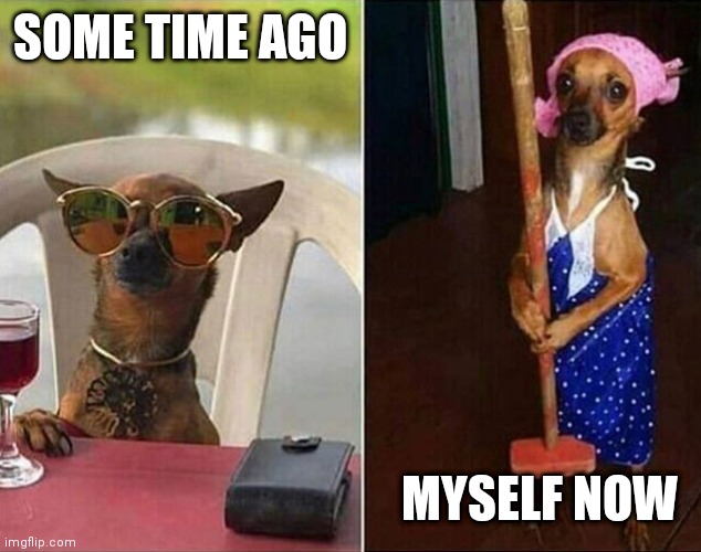 It's corona time | SOME TIME AGO; MYSELF NOW | image tagged in chiuaua rich poor | made w/ Imgflip meme maker