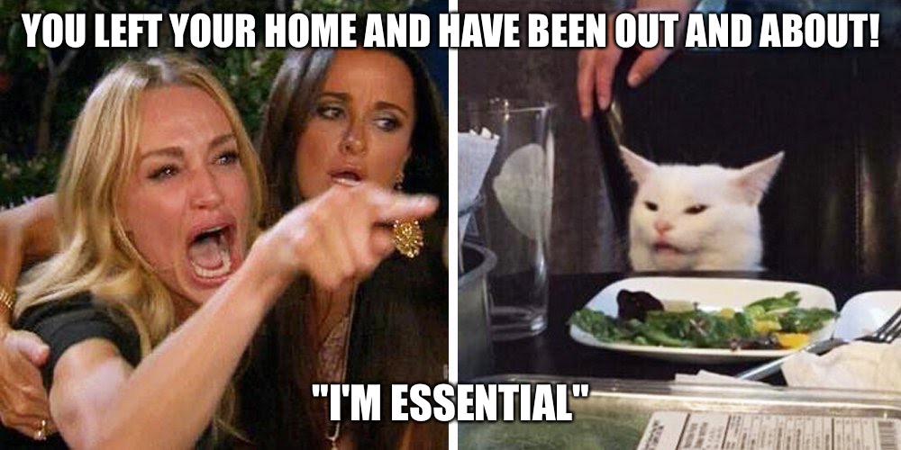 Smudge the cat | YOU LEFT YOUR HOME AND HAVE BEEN OUT AND ABOUT! "I'M ESSENTIAL" | image tagged in smudge the cat | made w/ Imgflip meme maker