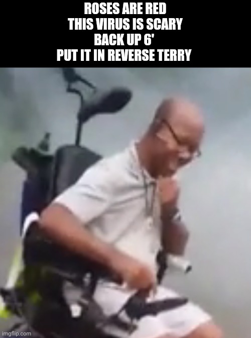 Back It Up Terry | ROSES ARE RED
THIS VIRUS IS SCARY
BACK UP 6' 
PUT IT IN REVERSE TERRY | image tagged in back it up terry | made w/ Imgflip meme maker