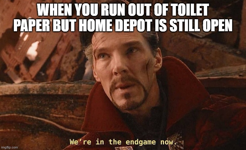 WHEN YOU RUN OUT OF TOILET PAPER BUT HOME DEPOT IS STILL OPEN | image tagged in funny | made w/ Imgflip meme maker