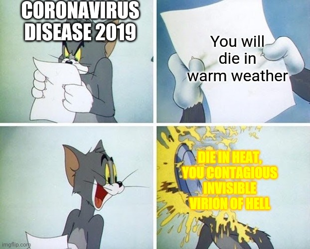 "COVID-19 is one small fugma ass of hell" | CORONAVIRUS DISEASE 2019; You will die in warm weather; DIE IN HEAT, YOU CONTAGIOUS INVISIBLE VIRION OF HELL | image tagged in tom and jerry custard pie,memes,coronavirus | made w/ Imgflip meme maker