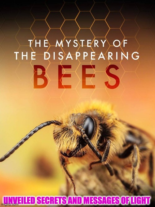 DISSAPEARING BEES | UNVEILED SECRETS AND MESSAGES OF LIGHT | image tagged in dissapearing bees | made w/ Imgflip meme maker