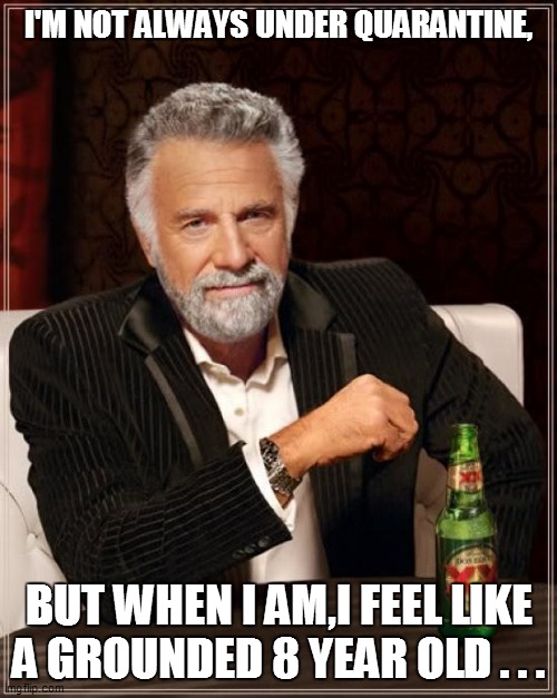 The Most Interesting Man In The World Meme | I'M NOT ALWAYS UNDER QUARANTINE, BUT WHEN I AM,I FEEL LIKE A GROUNDED 8 YEAR OLD . . . | image tagged in the most interesting man in the world,funny,funny memes,funny meme,too funny,coronavirus | made w/ Imgflip meme maker