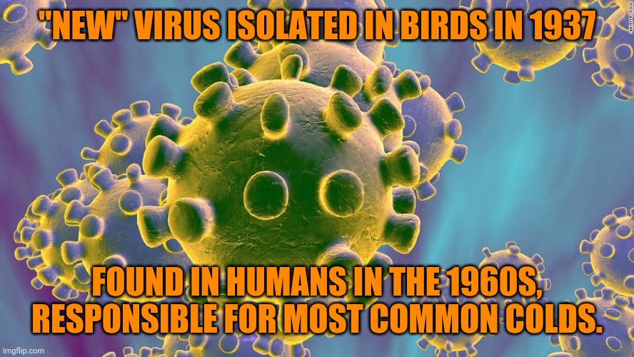 Coronavirus | "NEW" VIRUS ISOLATED IN BIRDS IN 1937 FOUND IN HUMANS IN THE 1960S, RESPONSIBLE FOR MOST COMMON COLDS. | image tagged in coronavirus | made w/ Imgflip meme maker