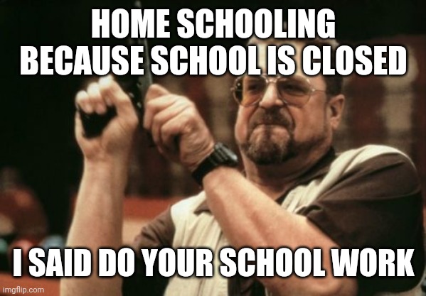 Am I The Only One Around Here | HOME SCHOOLING BECAUSE SCHOOL IS CLOSED; I SAID DO YOUR SCHOOL WORK | image tagged in memes,am i the only one around here | made w/ Imgflip meme maker