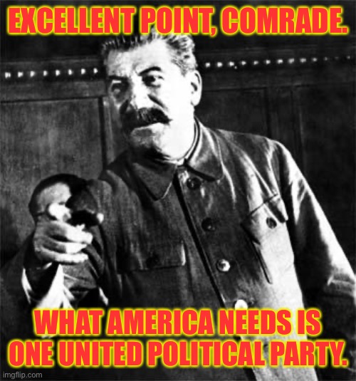 Stalin | EXCELLENT POINT, COMRADE. WHAT AMERICA NEEDS IS ONE UNITED POLITICAL PARTY. | image tagged in stalin | made w/ Imgflip meme maker