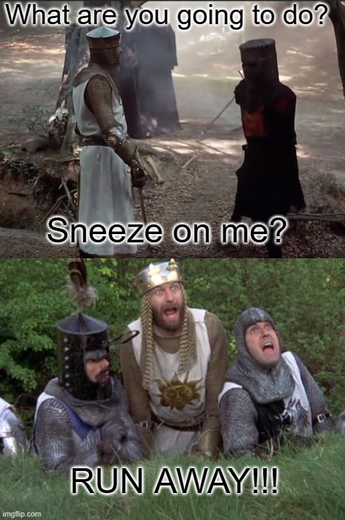 2020 be like that | What are you going to do? Sneeze on me? RUN AWAY!!! | image tagged in coronavirus,covid-19,king arthur | made w/ Imgflip meme maker
