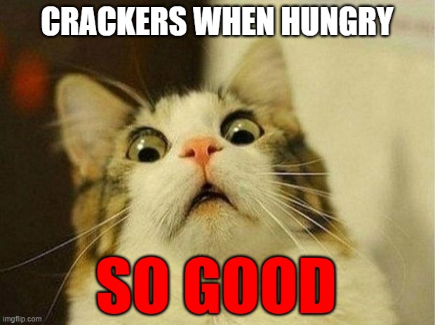 Scared Cat Meme | CRACKERS WHEN HUNGRY; SO GOOD | image tagged in memes,scared cat,crackers,hungry | made w/ Imgflip meme maker