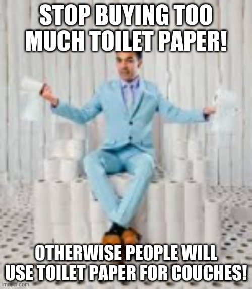 The Toilet Paper Disaster! | STOP BUYING TOO MUCH TOILET PAPER! OTHERWISE PEOPLE WILL USE TOILET PAPER FOR COUCHES! | image tagged in toilet paper | made w/ Imgflip meme maker