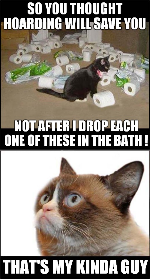 Grumpy Approves of Hoarders Deserved Justice | SO YOU THOUGHT HOARDING WILL SAVE YOU; NOT AFTER I DROP EACH ONE OF THESE IN THE BATH ! THAT'S MY KINDA GUY | image tagged in fun,grumpy cat,hoarding | made w/ Imgflip meme maker