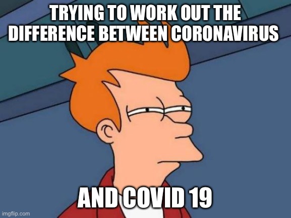 Futurama Fry Meme | TRYING TO WORK OUT THE DIFFERENCE BETWEEN CORONAVIRUS; AND COVID 19 | image tagged in memes,futurama fry | made w/ Imgflip meme maker