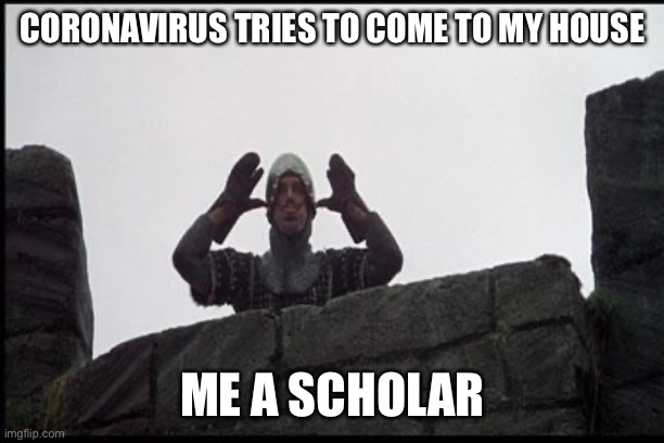 Your mother lives in a Chinese lab | CORONAVIRUS TRIES TO COME TO MY HOUSE; ME A SCHOLAR | image tagged in french taunting in monty python's holy grail,coronavirus,corona virus | made w/ Imgflip meme maker