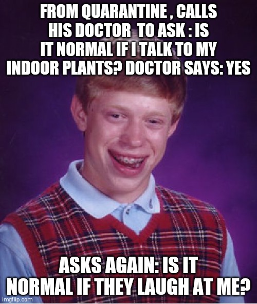 Gone crazy!!! | FROM QUARANTINE , CALLS HIS DOCTOR  TO ASK : IS IT NORMAL IF I TALK TO MY INDOOR PLANTS? DOCTOR SAYS: YES; ASKS AGAIN: IS IT NORMAL IF THEY LAUGH AT ME? | image tagged in memes,bad luck brian | made w/ Imgflip meme maker