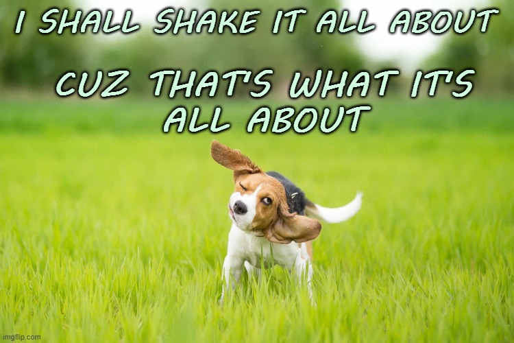 That's What It's All About | I SHALL SHAKE IT ALL ABOUT; CUZ THAT'S WHAT IT'S
ALL ABOUT | image tagged in affirmation,shake it all about,shake it off | made w/ Imgflip meme maker