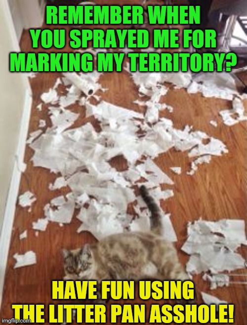 Cat revenge | REMEMBER WHEN YOU SPRAYED ME FOR MARKING MY TERRITORY? HAVE FUN USING THE LITTER PAN ASSHOLE! | image tagged in toilet paper cat,coronavirus | made w/ Imgflip meme maker