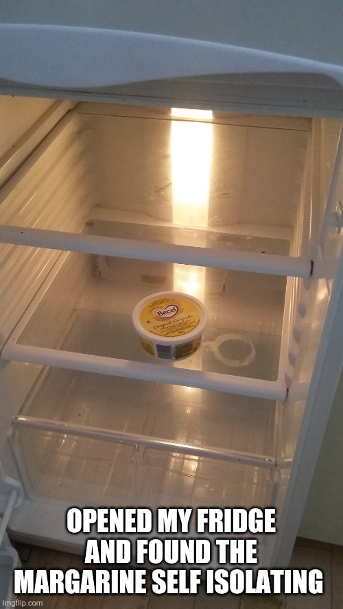 I really need to go shopping. | OPENED MY FRIDGE AND FOUND THE MARGARINE SELF ISOLATING | image tagged in memes | made w/ Imgflip meme maker