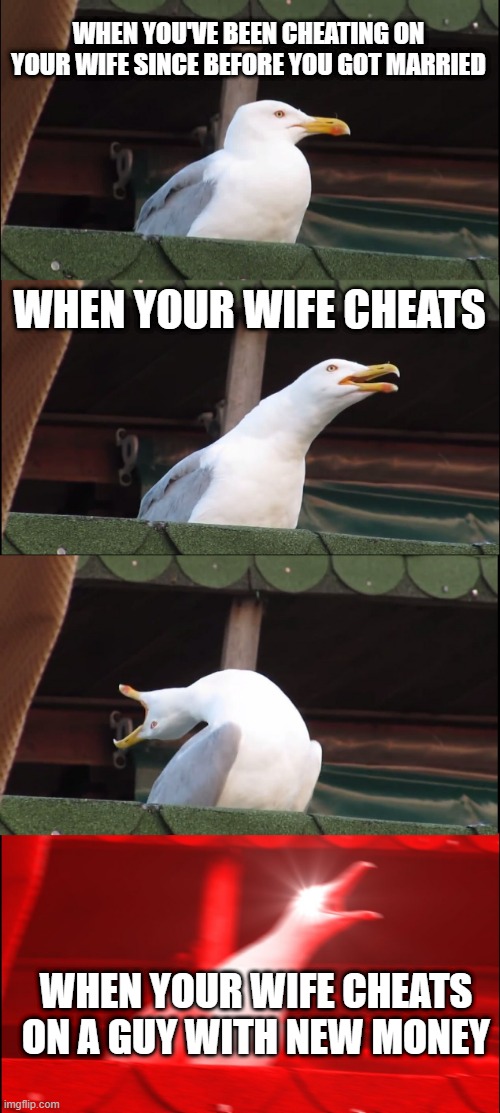 Inhaling Seagull Meme | WHEN YOU'VE BEEN CHEATING ON YOUR WIFE SINCE BEFORE YOU GOT MARRIED; WHEN YOUR WIFE CHEATS; WHEN YOUR WIFE CHEATS ON A GUY WITH NEW MONEY | image tagged in memes,inhaling seagull | made w/ Imgflip meme maker