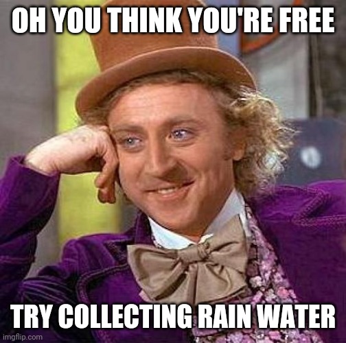 Creepy Condescending Wonka | OH YOU THINK YOU'RE FREE; TRY COLLECTING RAIN WATER | image tagged in memes,creepy condescending wonka | made w/ Imgflip meme maker