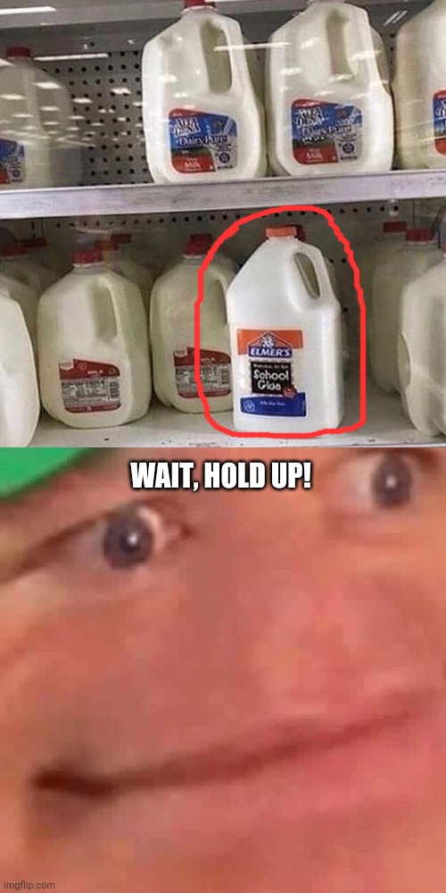 Elmer's School Glue Milk; Wait, hold up! | WAIT, HOLD UP! | image tagged in wait hol up,milk,glue,funny,memes,meme | made w/ Imgflip meme maker