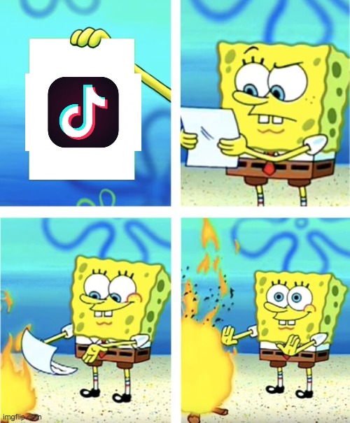 Spongebob Burning Paper | image tagged in spongebob burning paper | made w/ Imgflip meme maker