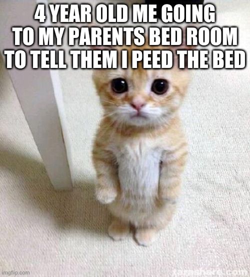Cute Cat | 4 YEAR OLD ME GOING TO MY PARENTS BED ROOM TO TELL THEM I PEED THE BED | image tagged in memes,cute cat | made w/ Imgflip meme maker