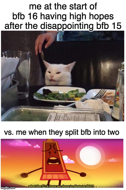 had high hopes for the living, but now i just want to  kiling |  me at the start of bfb 16 having high hopes after the disappointing bfb 15; vs. me when they split bfb into two | image tagged in salad cat,what have we done to deserve this,funny,memes,bfb,bfdi | made w/ Imgflip meme maker