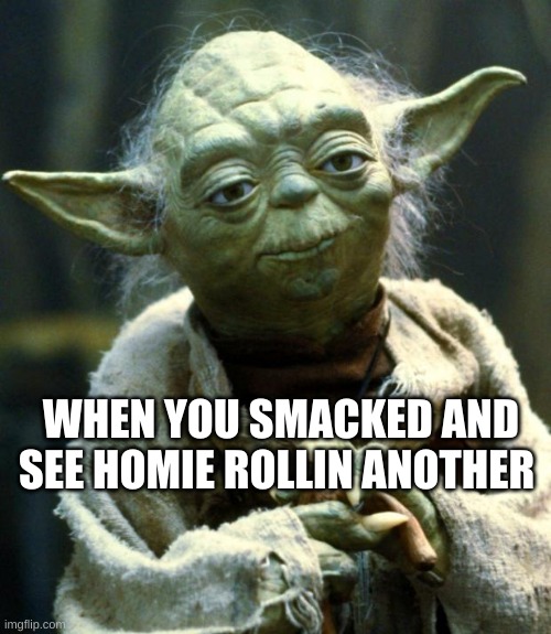 Star Wars Yoda Meme | WHEN YOU SMACKED AND SEE HOMIE ROLLIN ANOTHER | image tagged in memes,star wars yoda | made w/ Imgflip meme maker