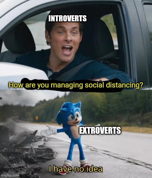 Sonic I have no idea | INTROVERTS; How are you managing social distancing? EXTROVERTS | image tagged in sonic i have no idea | made w/ Imgflip meme maker