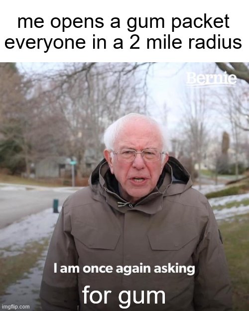Bernie I Am Once Again Asking For Your Support | me opens a gum packet everyone in a 2 mile radius; for gum | image tagged in memes,bernie i am once again asking for your support | made w/ Imgflip meme maker