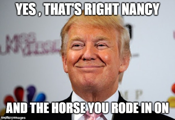 Donald trump approves | YES , THAT'S RIGHT NANCY; AND THE HORSE YOU RODE IN ON | image tagged in donald trump approves | made w/ Imgflip meme maker