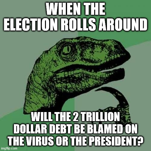 Philosoraptor | WHEN THE ELECTION ROLLS AROUND; WILL THE 2 TRILLION DOLLAR DEBT BE BLAMED ON THE VIRUS OR THE PRESIDENT? | image tagged in memes,philosoraptor | made w/ Imgflip meme maker