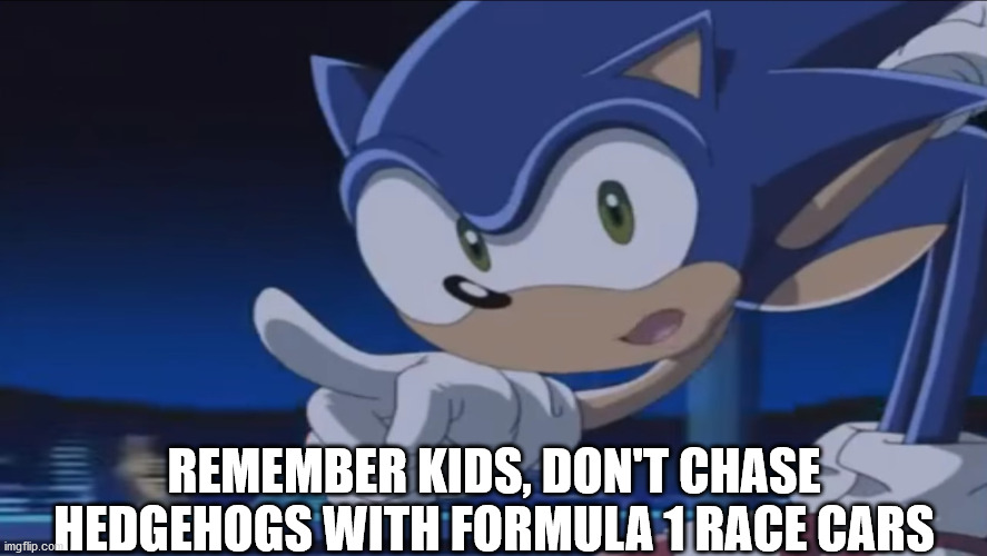 sonic the hedgehog 1 the chase