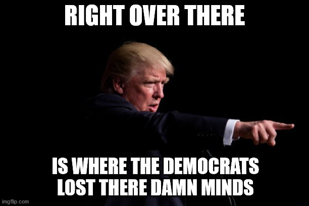 November 8, 2016 | RIGHT OVER THERE; IS WHERE THE DEMOCRATS LOST THERE DAMN MINDS | image tagged in donald trump,democrats,trump 2020,crying democrats | made w/ Imgflip meme maker