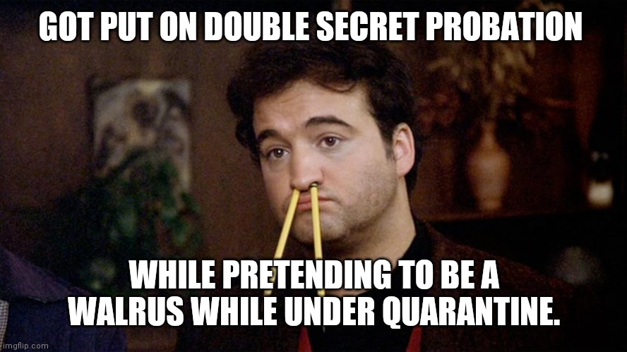 Animal House | GOT PUT ON DOUBLE SECRET PROBATION; WHILE PRETENDING TO BE A WALRUS WHILE UNDER QUARANTINE. | image tagged in animal house | made w/ Imgflip meme maker